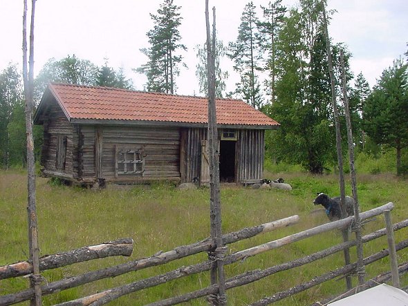 Old horses' stable.  Now used for sheep
