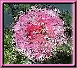 rose with brush stroke effect