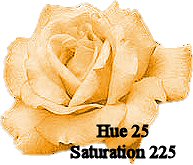 Hue 25, Saturation 225