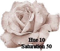 Hue 10, saturation 50