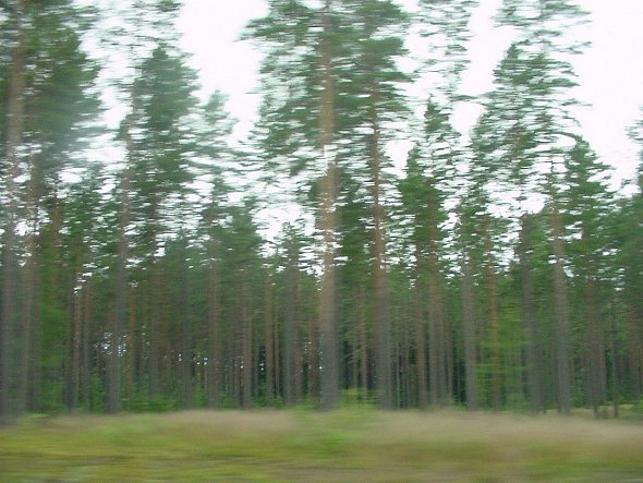 Along the road.  (Real speed blur.)