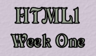 HTML week one