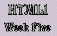 HTML week five
