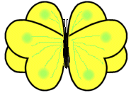 yellow butterfly