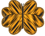 brown butterfly